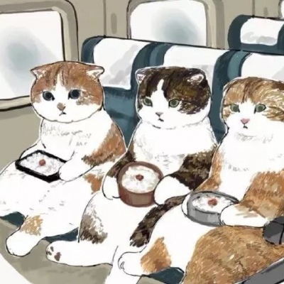 石家庄新突破！正定新区强势崛起